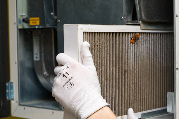 Best Air Duct Mold Removal  in Warren Park, IN
